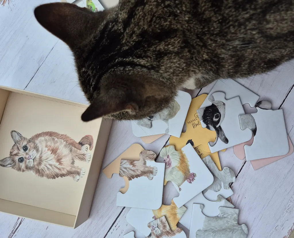 Puzzle 4 domowe